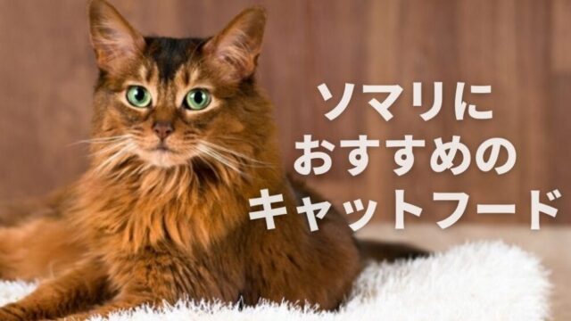 ジクネチャー7】猫の体調に合わせて全7種類の中から選べちゃう